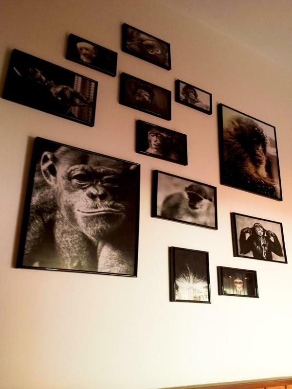 The Mellow Monkey Hostel Zadar Ngoại thất bức ảnh